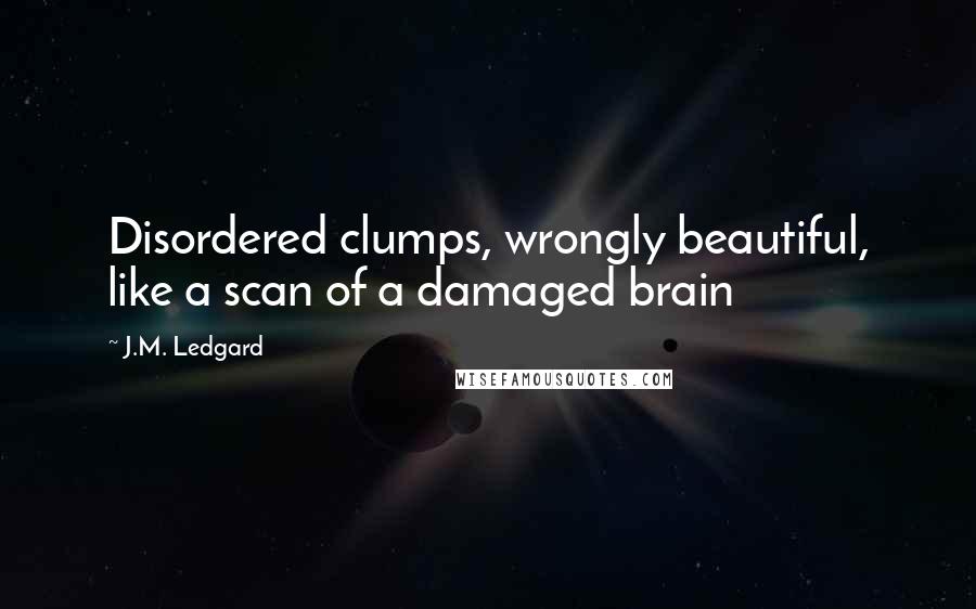 J.M. Ledgard Quotes: Disordered clumps, wrongly beautiful, like a scan of a damaged brain