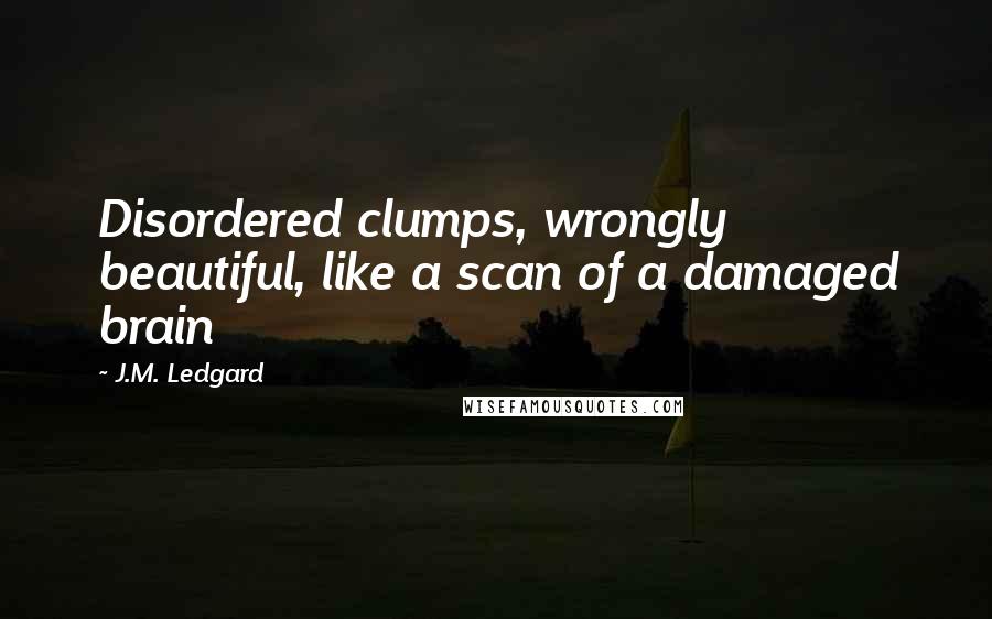 J.M. Ledgard Quotes: Disordered clumps, wrongly beautiful, like a scan of a damaged brain