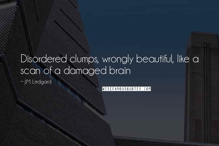 J.M. Ledgard Quotes: Disordered clumps, wrongly beautiful, like a scan of a damaged brain