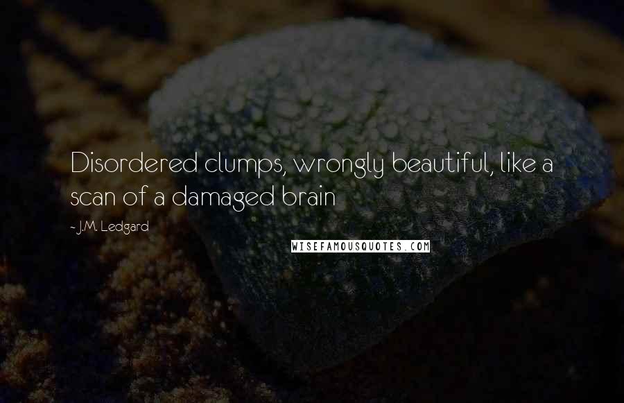 J.M. Ledgard Quotes: Disordered clumps, wrongly beautiful, like a scan of a damaged brain