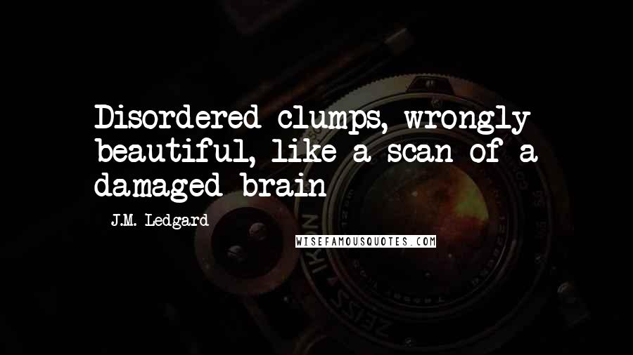J.M. Ledgard Quotes: Disordered clumps, wrongly beautiful, like a scan of a damaged brain