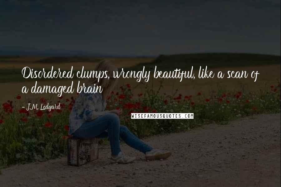 J.M. Ledgard Quotes: Disordered clumps, wrongly beautiful, like a scan of a damaged brain
