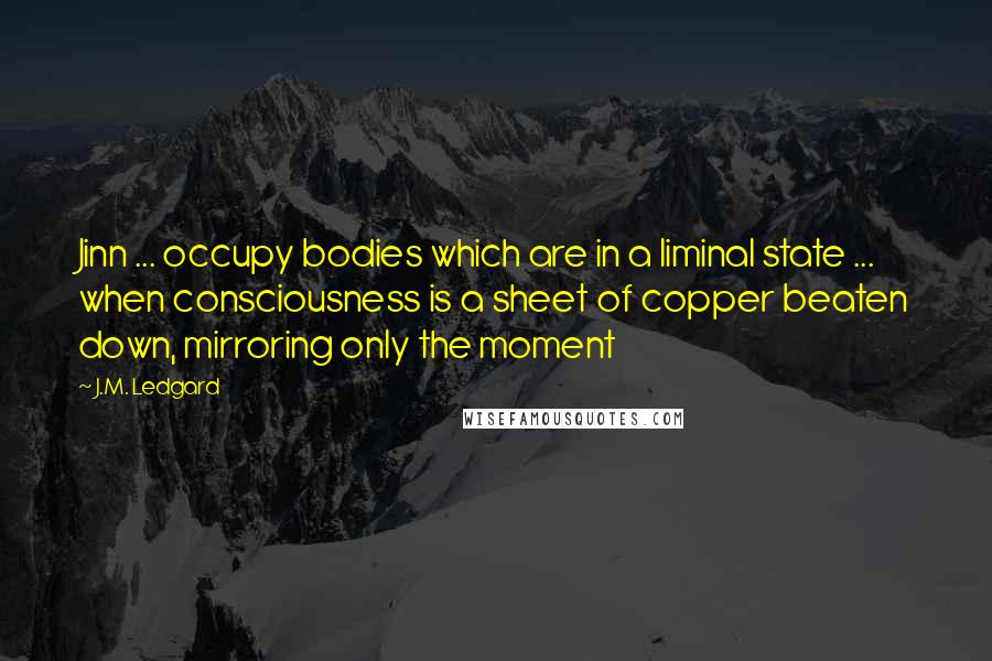 J.M. Ledgard Quotes: Jinn ... occupy bodies which are in a liminal state ... when consciousness is a sheet of copper beaten down, mirroring only the moment