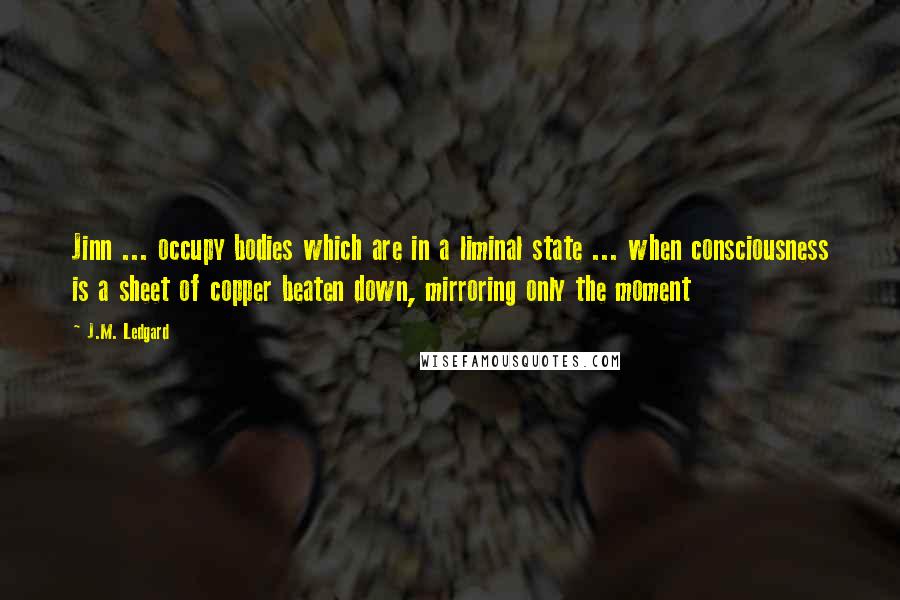 J.M. Ledgard Quotes: Jinn ... occupy bodies which are in a liminal state ... when consciousness is a sheet of copper beaten down, mirroring only the moment