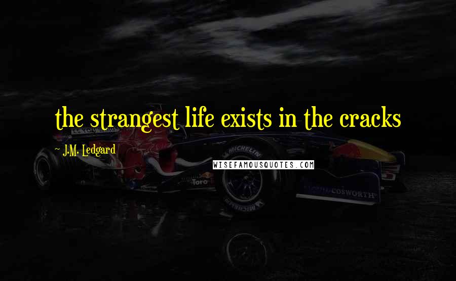 J.M. Ledgard Quotes: the strangest life exists in the cracks