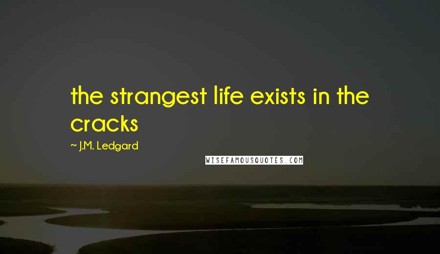 J.M. Ledgard Quotes: the strangest life exists in the cracks