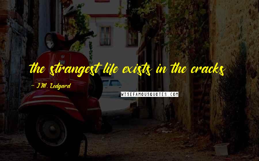 J.M. Ledgard Quotes: the strangest life exists in the cracks