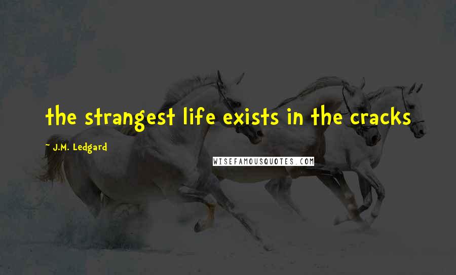 J.M. Ledgard Quotes: the strangest life exists in the cracks