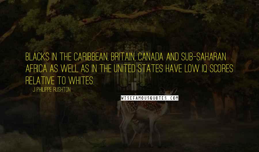 J. Philippe Rushton Quotes: Blacks in the Caribbean, Britain, Canada and sub-Saharan Africa as well as in the United States have low IQ scores relative to whites.