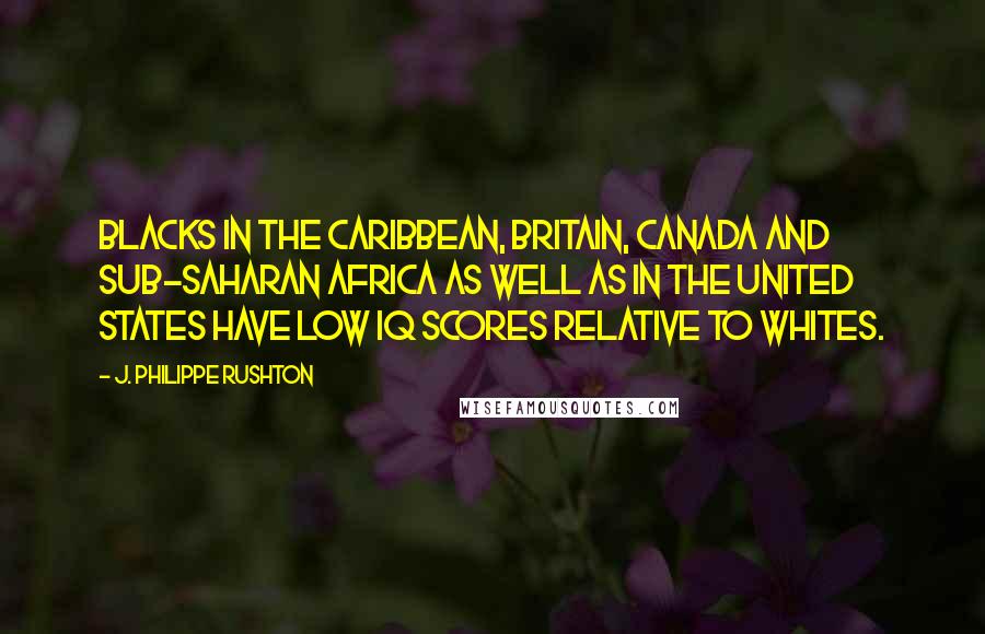 J. Philippe Rushton Quotes: Blacks in the Caribbean, Britain, Canada and sub-Saharan Africa as well as in the United States have low IQ scores relative to whites.