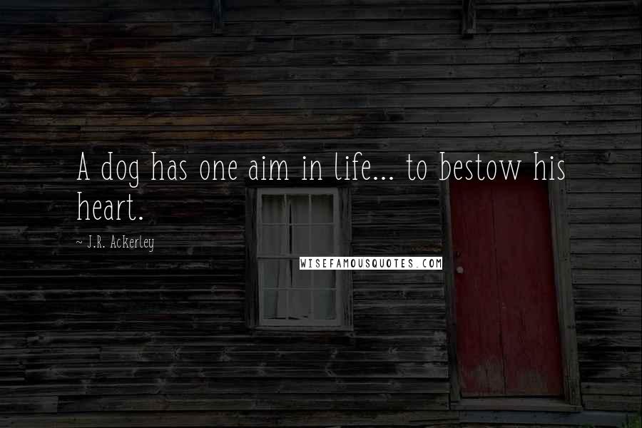 J.R. Ackerley Quotes: A dog has one aim in life... to bestow his heart.