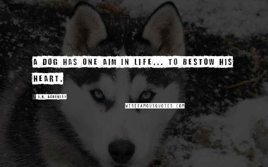 J.R. Ackerley Quotes: A dog has one aim in life... to bestow his heart.