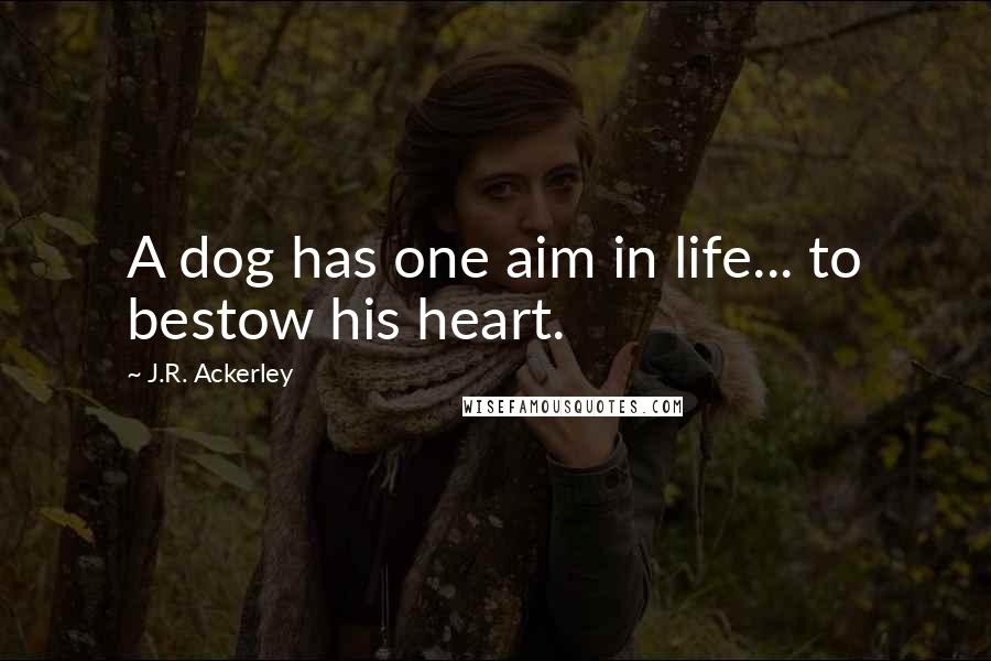 J.R. Ackerley Quotes: A dog has one aim in life... to bestow his heart.