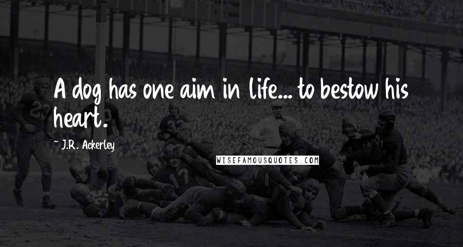 J.R. Ackerley Quotes: A dog has one aim in life... to bestow his heart.