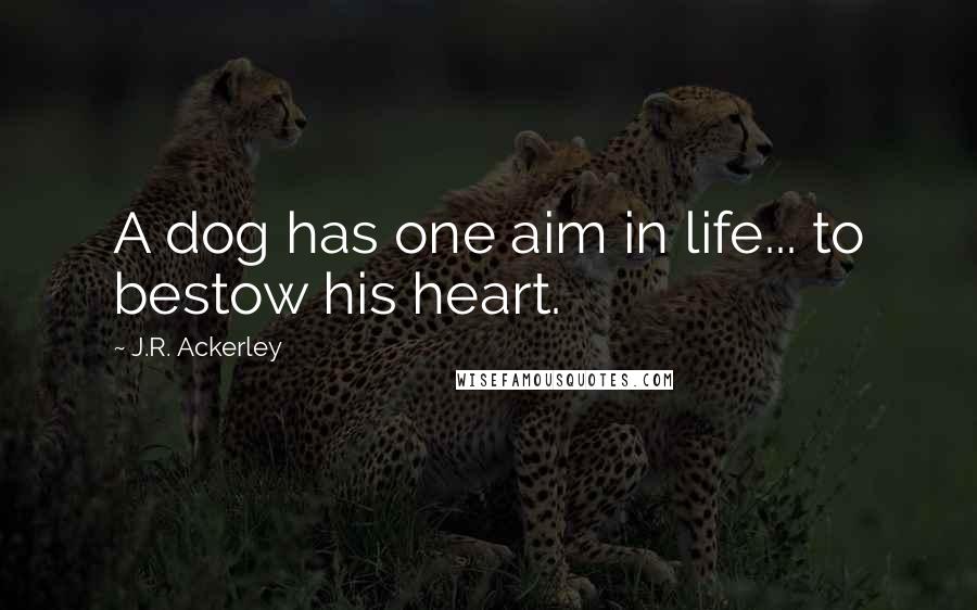 J.R. Ackerley Quotes: A dog has one aim in life... to bestow his heart.