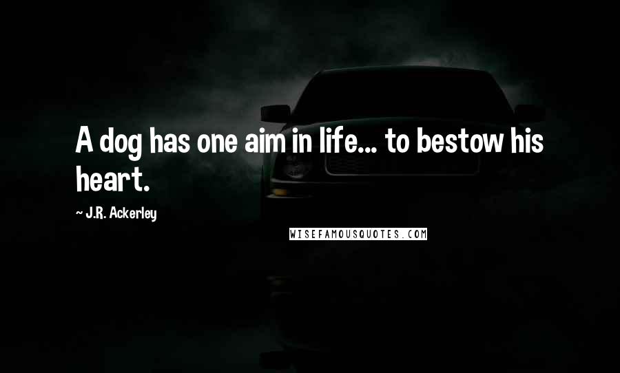 J.R. Ackerley Quotes: A dog has one aim in life... to bestow his heart.