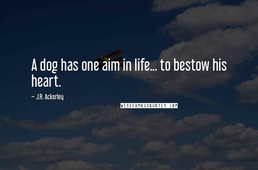 J.R. Ackerley Quotes: A dog has one aim in life... to bestow his heart.