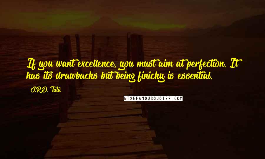 J.R.D. Tata Quotes: If you want excellence, you must aim at perfection. It has its drawbacks but being finicky is essential.