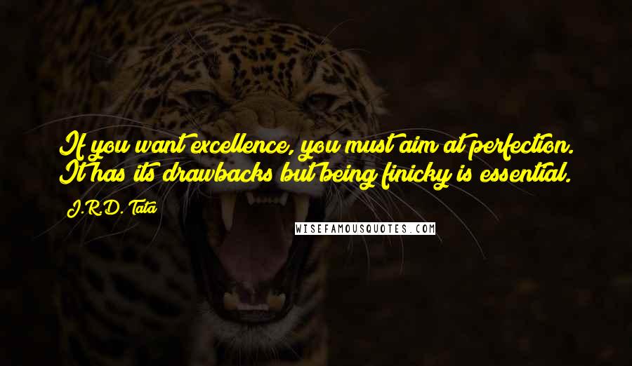 J.R.D. Tata Quotes: If you want excellence, you must aim at perfection. It has its drawbacks but being finicky is essential.