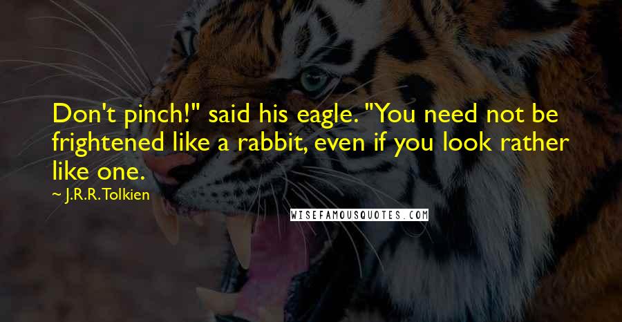 J.R.R. Tolkien Quotes: Don't pinch!" said his eagle. "You need not be frightened like a rabbit, even if you look rather like one.