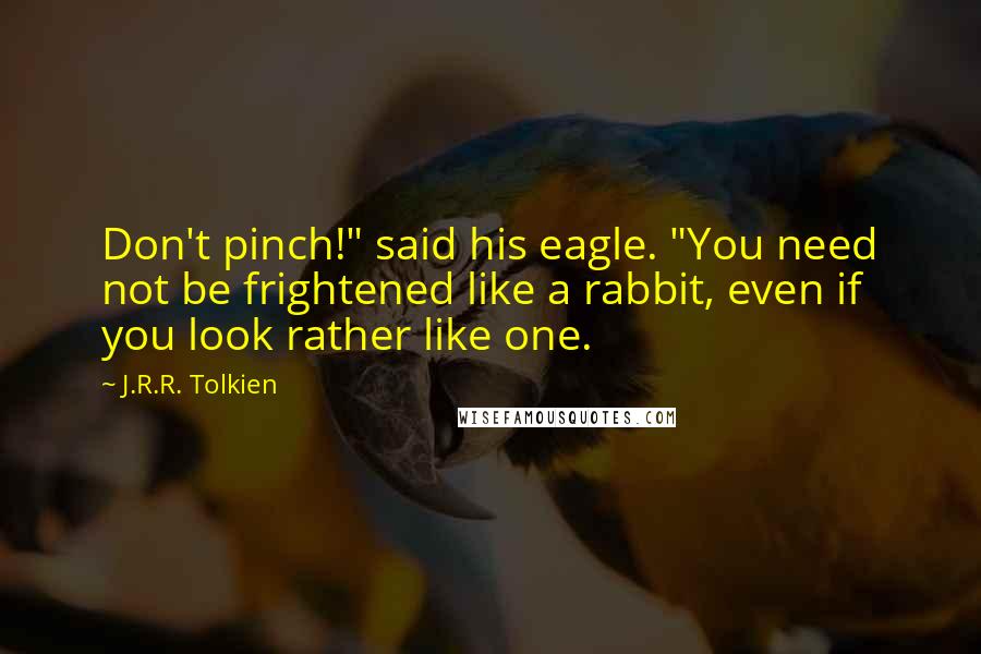 J.R.R. Tolkien Quotes: Don't pinch!" said his eagle. "You need not be frightened like a rabbit, even if you look rather like one.