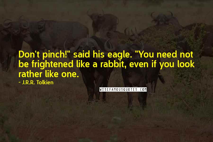 J.R.R. Tolkien Quotes: Don't pinch!" said his eagle. "You need not be frightened like a rabbit, even if you look rather like one.