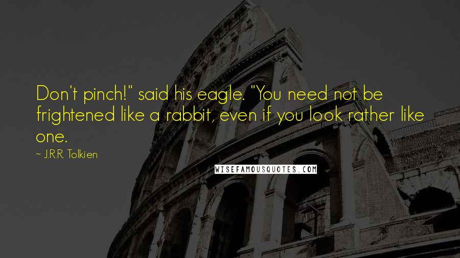 J.R.R. Tolkien Quotes: Don't pinch!" said his eagle. "You need not be frightened like a rabbit, even if you look rather like one.