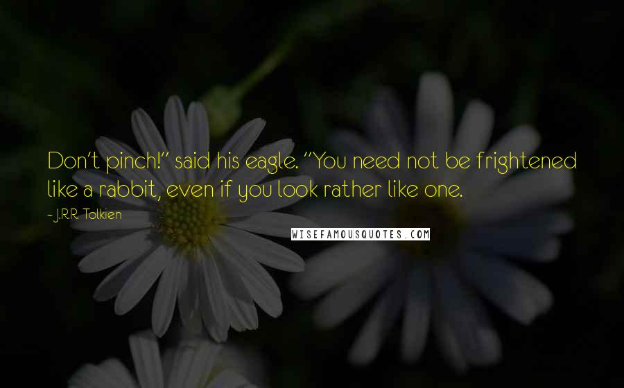 J.R.R. Tolkien Quotes: Don't pinch!" said his eagle. "You need not be frightened like a rabbit, even if you look rather like one.