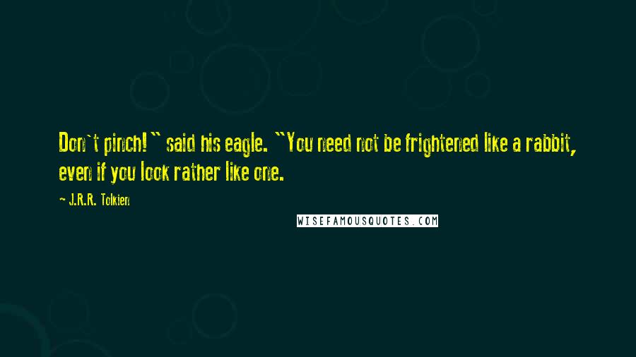 J.R.R. Tolkien Quotes: Don't pinch!" said his eagle. "You need not be frightened like a rabbit, even if you look rather like one.