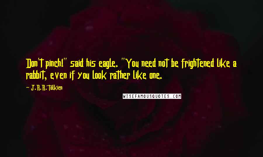 J.R.R. Tolkien Quotes: Don't pinch!" said his eagle. "You need not be frightened like a rabbit, even if you look rather like one.