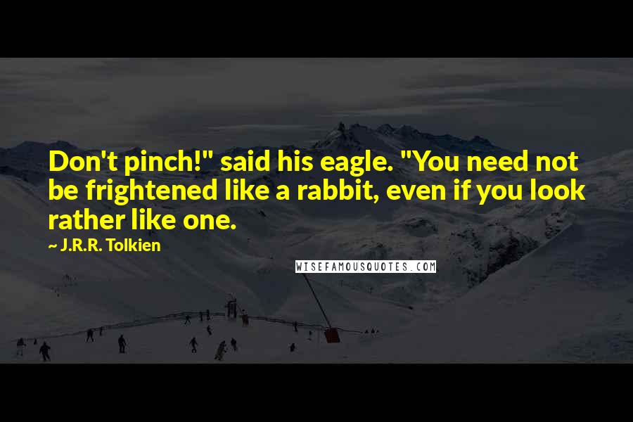 J.R.R. Tolkien Quotes: Don't pinch!" said his eagle. "You need not be frightened like a rabbit, even if you look rather like one.