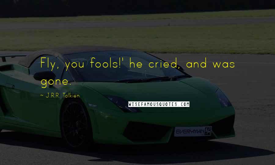 J.R.R. Tolkien Quotes: Fly, you fools!' he cried, and was gone.