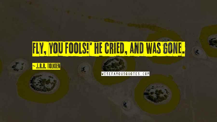 J.R.R. Tolkien Quotes: Fly, you fools!' he cried, and was gone.