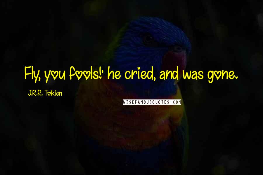 J.R.R. Tolkien Quotes: Fly, you fools!' he cried, and was gone.