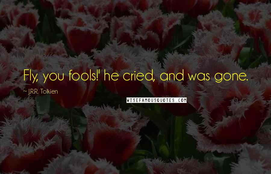 J.R.R. Tolkien Quotes: Fly, you fools!' he cried, and was gone.