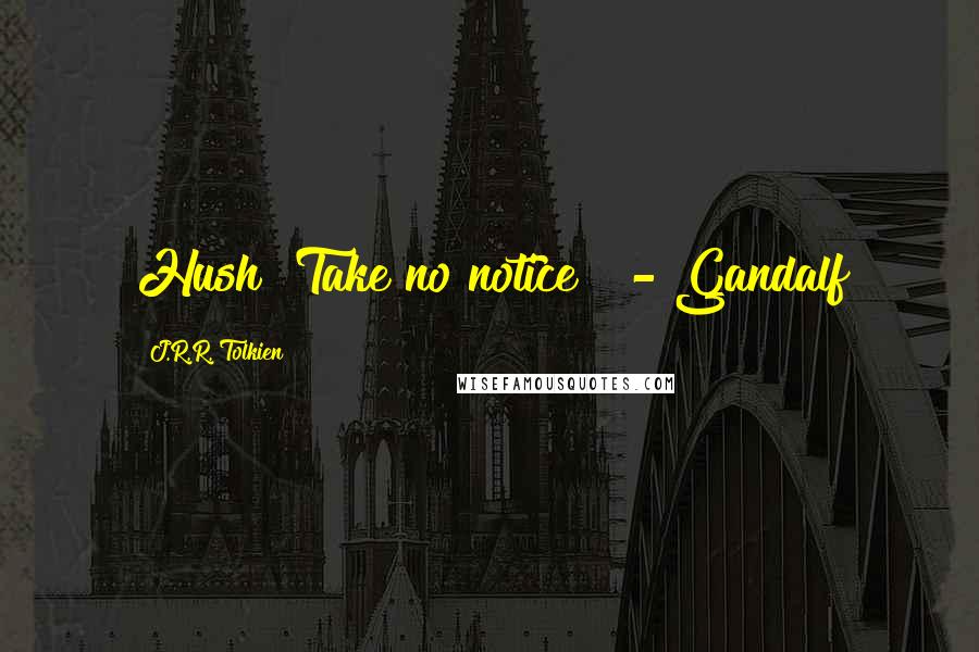 J.R.R. Tolkien Quotes: Hush! Take no notice!" - Gandalf