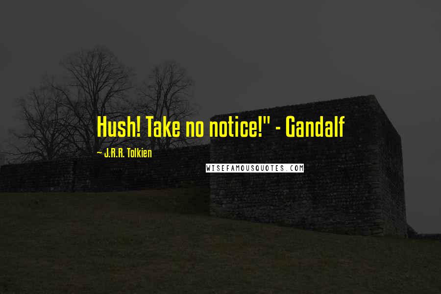 J.R.R. Tolkien Quotes: Hush! Take no notice!" - Gandalf