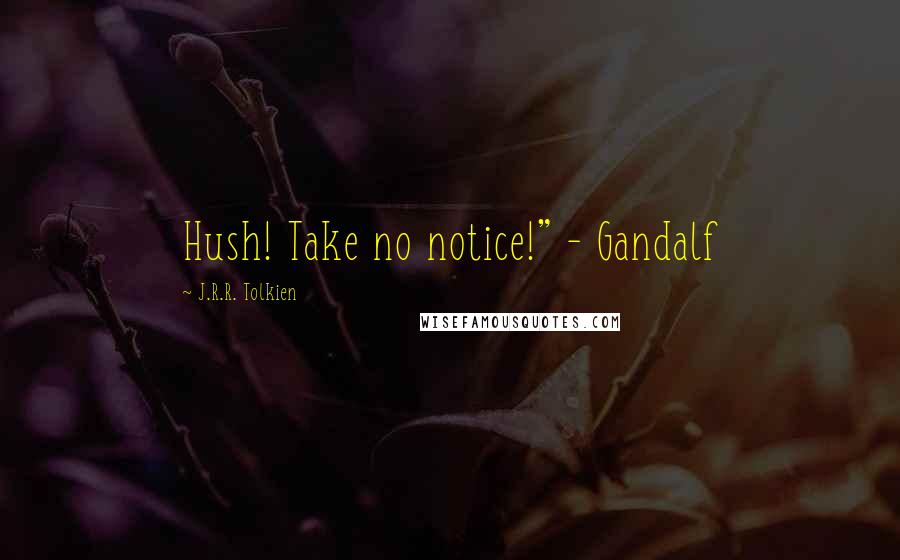 J.R.R. Tolkien Quotes: Hush! Take no notice!" - Gandalf