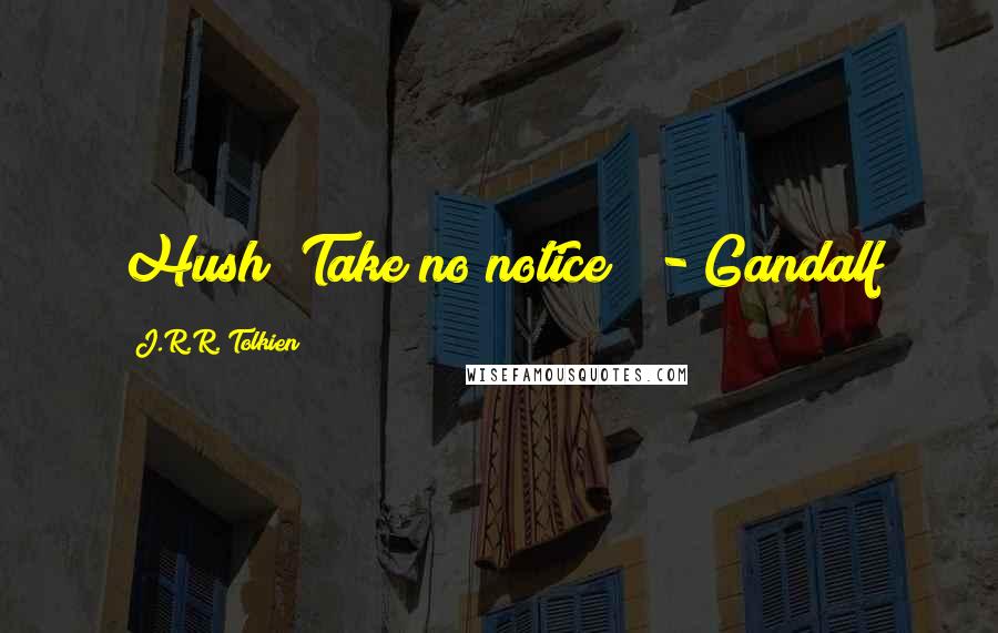 J.R.R. Tolkien Quotes: Hush! Take no notice!" - Gandalf