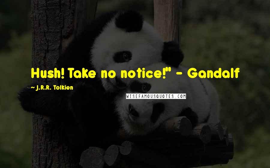 J.R.R. Tolkien Quotes: Hush! Take no notice!" - Gandalf