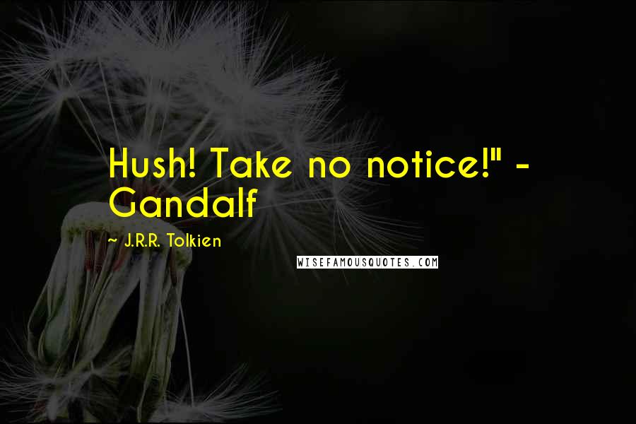 J.R.R. Tolkien Quotes: Hush! Take no notice!" - Gandalf