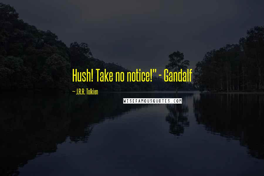 J.R.R. Tolkien Quotes: Hush! Take no notice!" - Gandalf