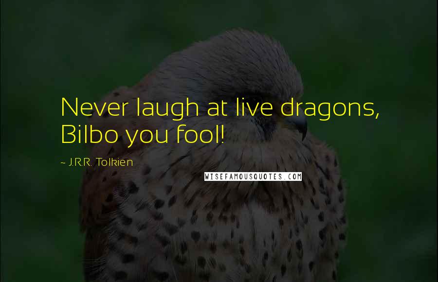 J.R.R. Tolkien Quotes: Never laugh at live dragons, Bilbo you fool!