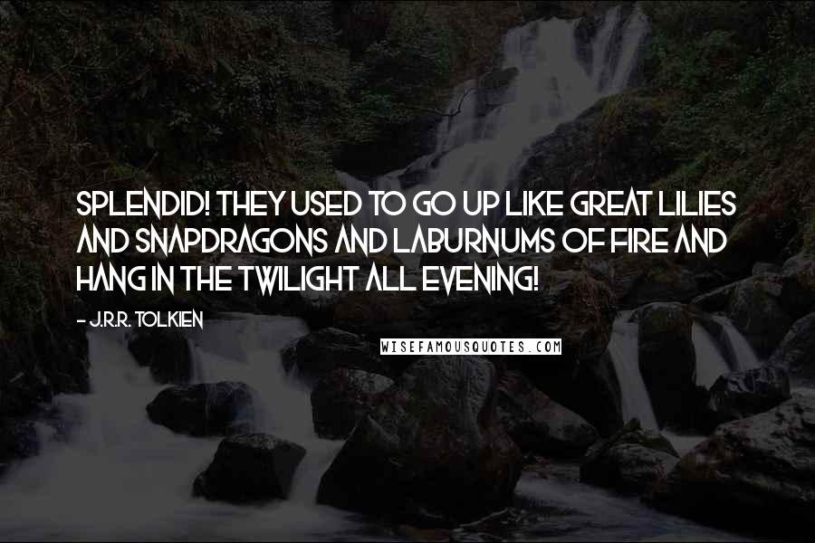 J.R.R. Tolkien Quotes: Splendid! They used to go up like great lilies and snapdragons and laburnums of fire and hang in the twilight all evening!