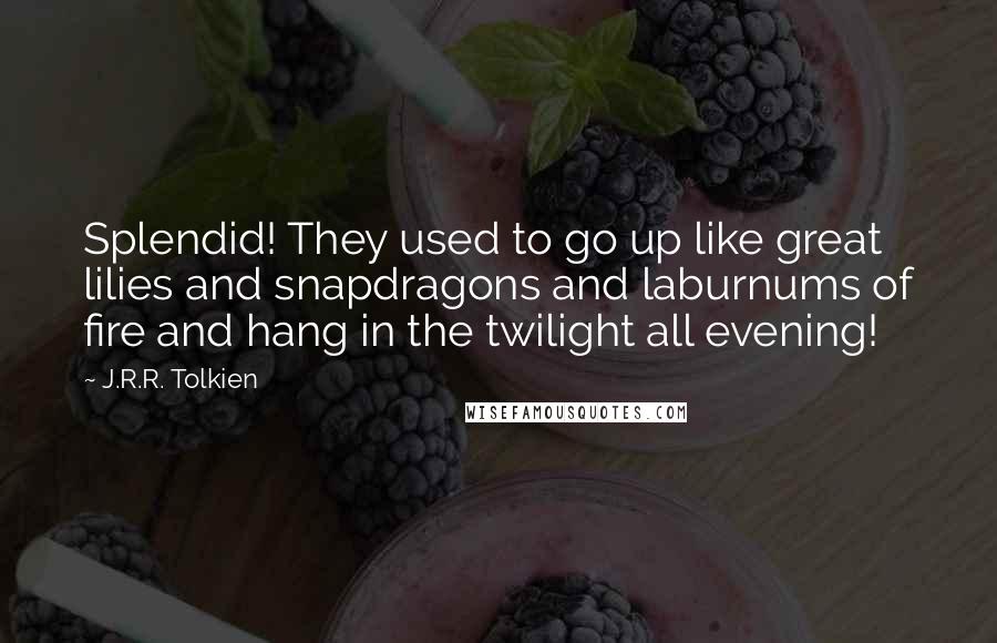 J.R.R. Tolkien Quotes: Splendid! They used to go up like great lilies and snapdragons and laburnums of fire and hang in the twilight all evening!