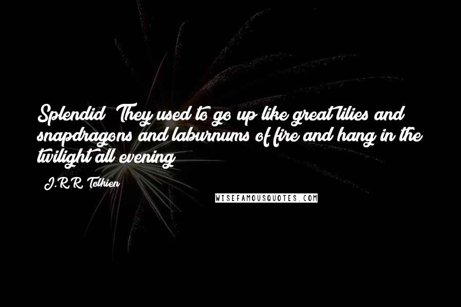 J.R.R. Tolkien Quotes: Splendid! They used to go up like great lilies and snapdragons and laburnums of fire and hang in the twilight all evening!