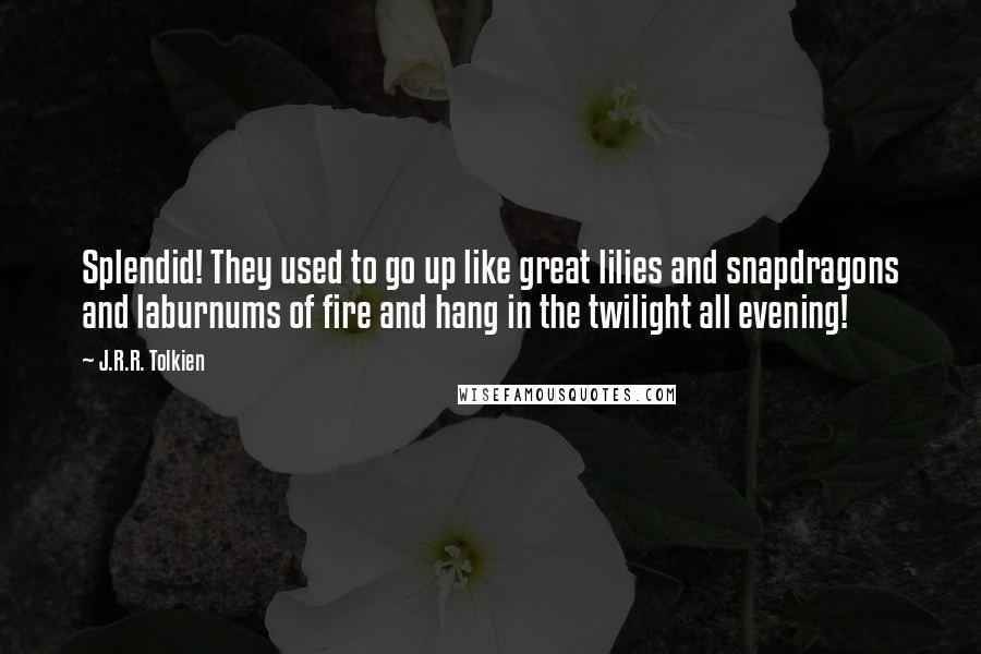 J.R.R. Tolkien Quotes: Splendid! They used to go up like great lilies and snapdragons and laburnums of fire and hang in the twilight all evening!