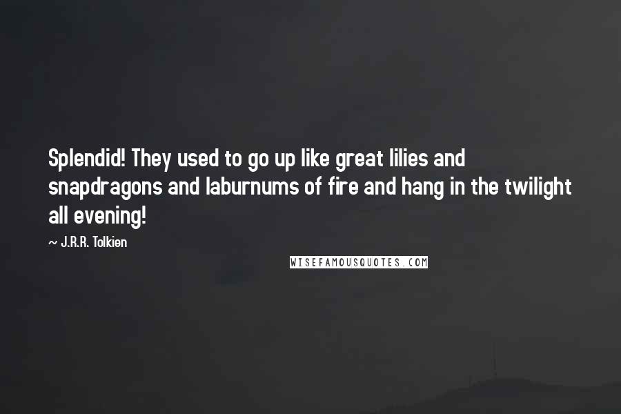 J.R.R. Tolkien Quotes: Splendid! They used to go up like great lilies and snapdragons and laburnums of fire and hang in the twilight all evening!