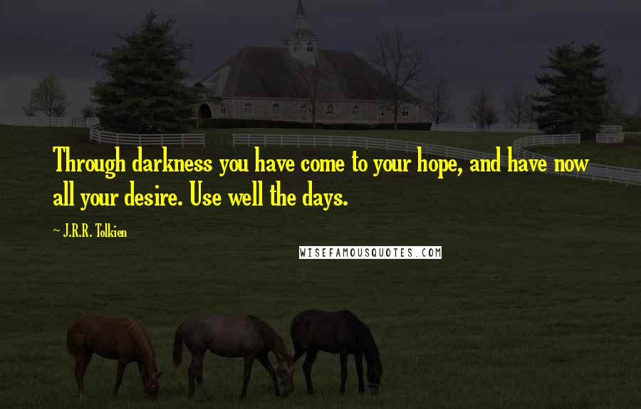 J.R.R. Tolkien Quotes: Through darkness you have come to your hope, and have now all your desire. Use well the days.