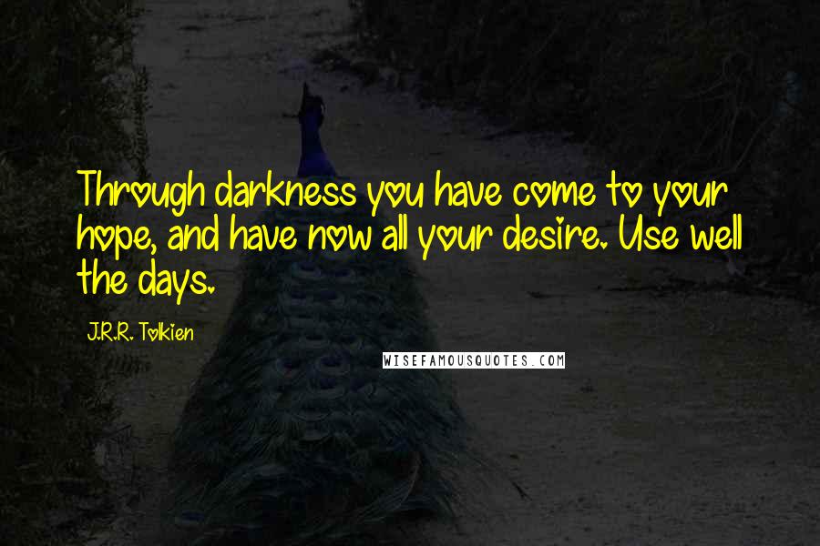 J.R.R. Tolkien Quotes: Through darkness you have come to your hope, and have now all your desire. Use well the days.